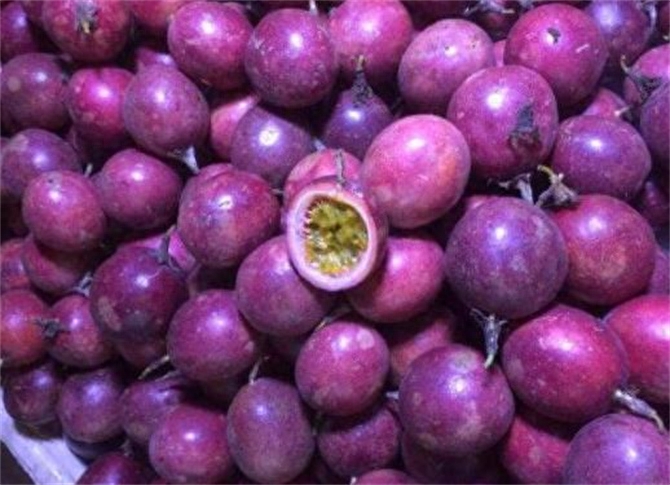 紫皮百香果與黃金百香果有什麼區別?哪一種口味更好吃?