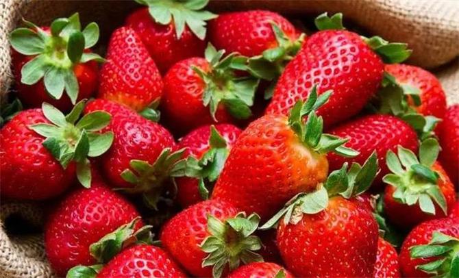 草莓一般什么時候成熟?草莓什么時候吃最佳?