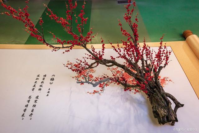 揭秘新年傳統：為何幹枝梅花成了春節的熱門之選?