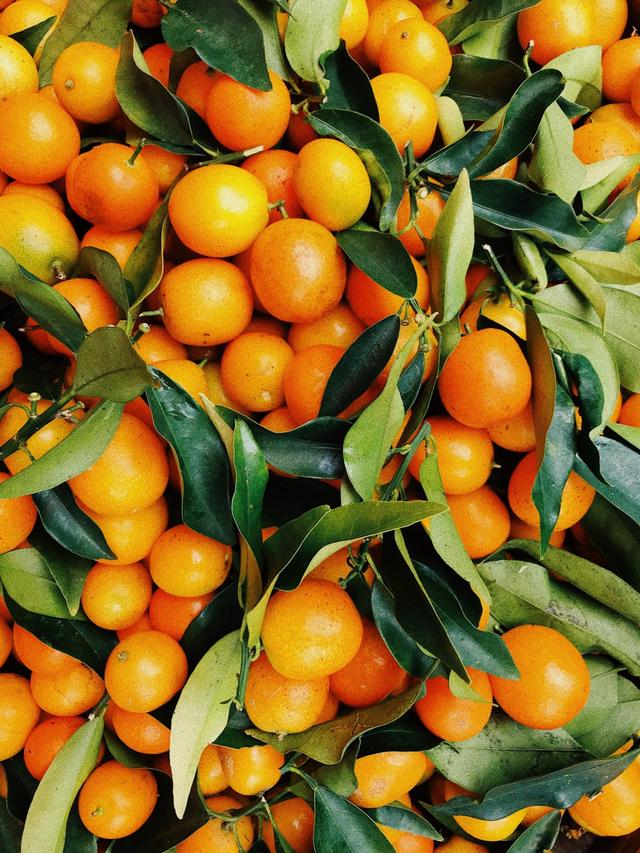 柑橘種植前，先選擇合適的土壤，在生長期內，適時整形疏果